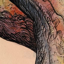 Exposition – Corpus Locen