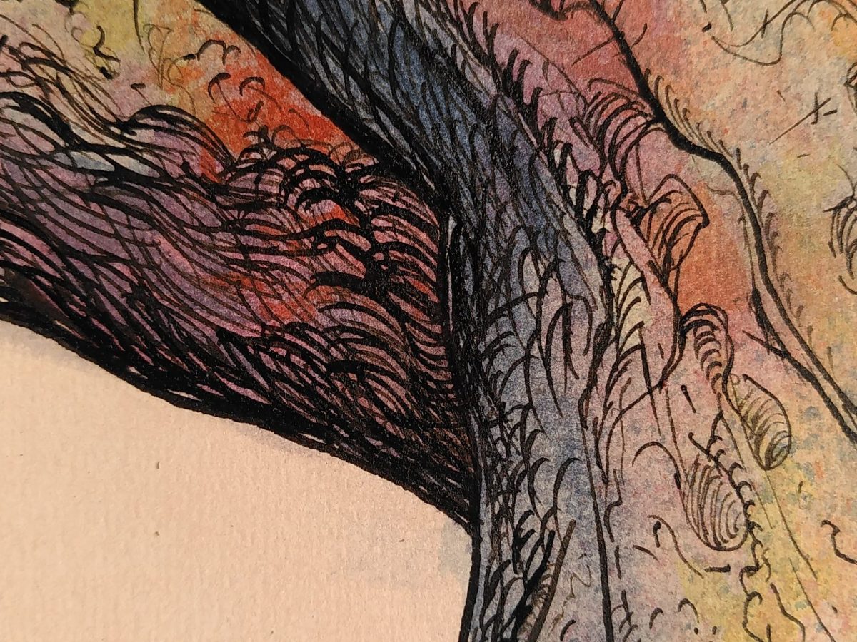 Exposition – Corpus Locen